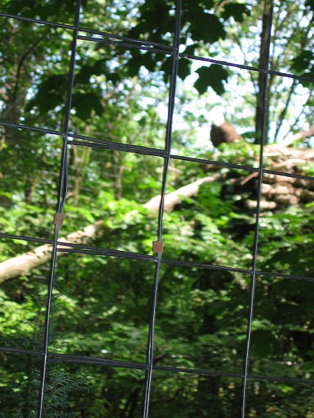July 079.jpg